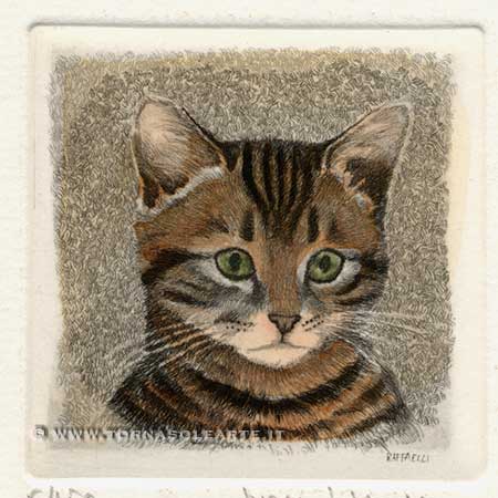 Ritratto di gattino tigrato