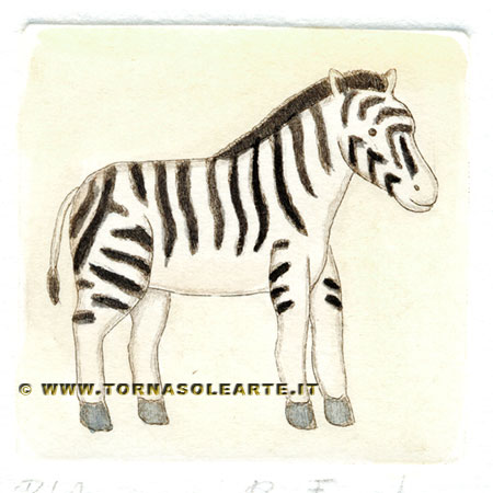 Zebra