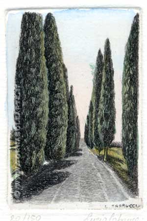 Strada dritta con cipressi