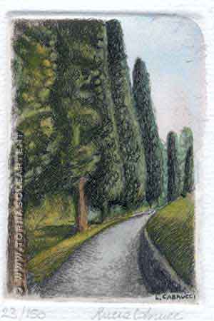 Strada dritta con cipressi