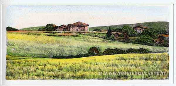 Paesaggio toscano