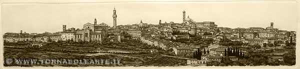 Siena. Veduta panoramica bianco nero