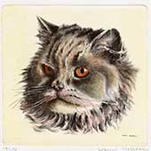  Ritratto di gatto persiano