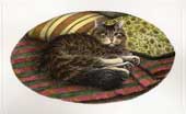 Gatto in posa sul cuscino