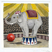 Elefante al circo