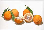 Composizione di arance