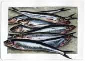 Composizione con sardine