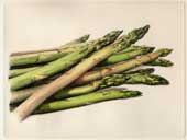 Composizione con asparagi